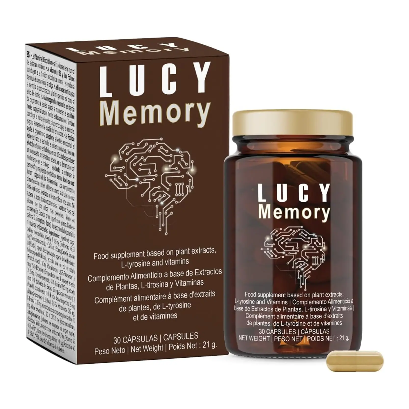 Lucy Memory